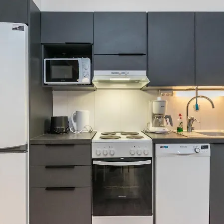 Holiday home Skivillas Paljakka 8- - 3mh By Interhome Kotila